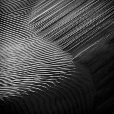 Aphairesi, Study #5