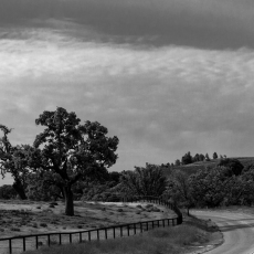 Long Lonely Road