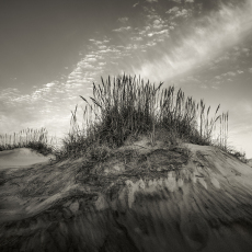 Dunes