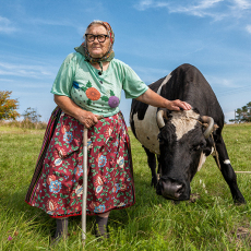 Vahtra Helju and Mari the Cow