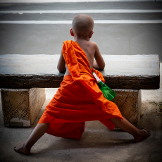 Little Monk