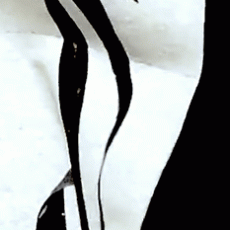 ouroboros_detail-11