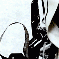 ouroboros_detail-12