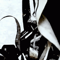 ouroboros_detail-7