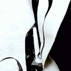 ouroboros_detail-9