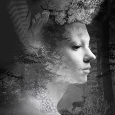 Afra, The Conservator © by Jim Bremer