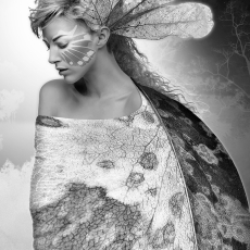 Aileen, The Gatherer © by Jim Bremer