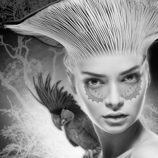 Espy, Watcher of the Glades © by Jim Bremer