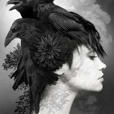 Raven, The Thinker © by Jim Bremer