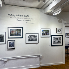 Hiding-in-Plain-Sight-9885