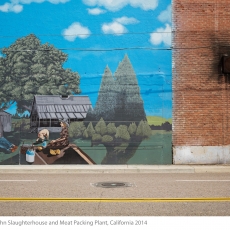 25_LucasFoglia_HumanNature_Farmer-John-Slaughterhouse-copy