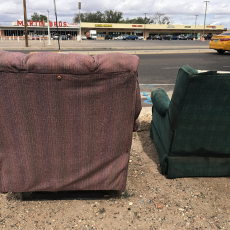 Companions on the curb