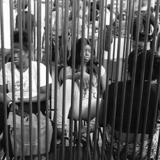 Behind Bars
