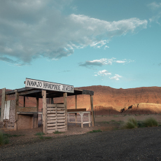 Navajo Lands (#3)