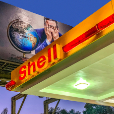 Shell Game (cover image), Los Angeles, 2022