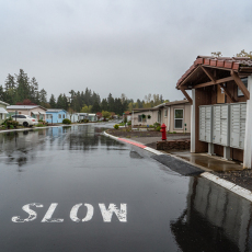 Down the Street - Oregon #03, 2022