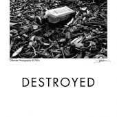 Destroyed