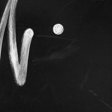 Without a Trace