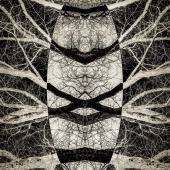 Bill Clark - Memory of Seeds