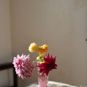 Cindy Wilson - Cut Flowers