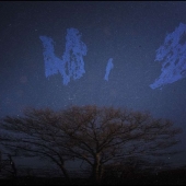 David Estlund - Blue Sky Tree