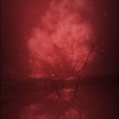 David Estlund - Fire Cloud
