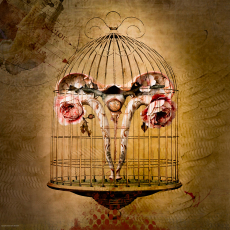 Her Body, Their Battelground © by Karla Bernstein