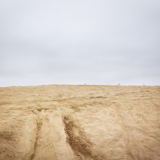 Flags © by Lana Z Caplan