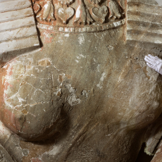 Sphinx Turso © by Lana Z Caplan