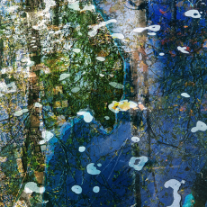 Lower Mount Hope Bay