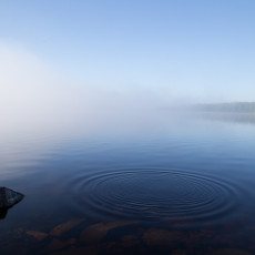 2-Perfect-Morning_6483441