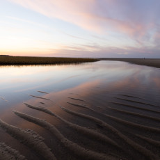 3-Letting-Go_6483441