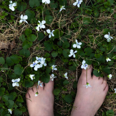 Barefoot Afternoon © by Marcy Juran