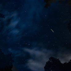 Night Sky with Firefly © by Marcy Juran