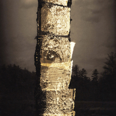 Totem