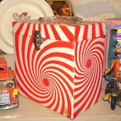 Allie Sabalis - Duck on Bike