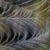 Bill Clark - Silk Roads