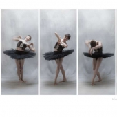 Eric Hovermale - Dance Memory -- Black Tutu