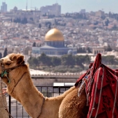 Fred-DeGregorio - Dome-of-the-Rock-Jerusalem