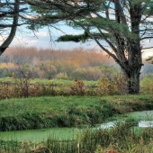 Fred-DeGregorio - On-A-Golden-Autumn-Day