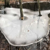 John Femino - Ice Dam