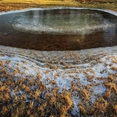 John Femino - Pasture Pool