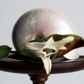 Linda Megathlin - Memento Mori