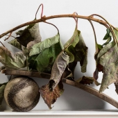 Linda Megathlin - Play Ball