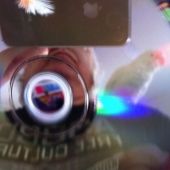 Phillip Palombo - Watchin Lady