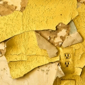 Rebecca Skinner - Waning