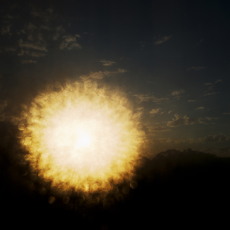 Shine © by Molly Lamb