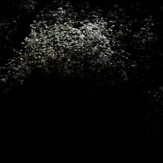 Depths © by Molly Lamb