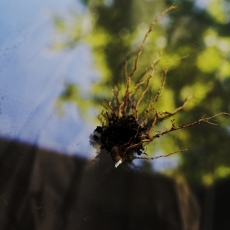 1-MollyLamb_Untitled16_FromTakeCareOfYourSister_2015_1900