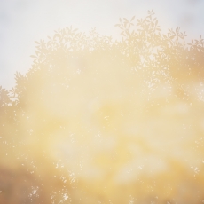 2-MollyLamb_Untitled10_FromTakeCareOfYourSister_2016_1900